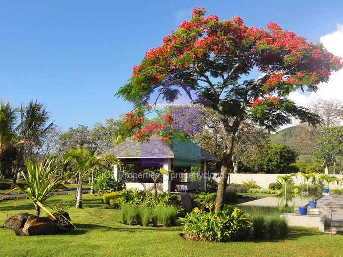 Stunning 4 Bedroom Villa 
