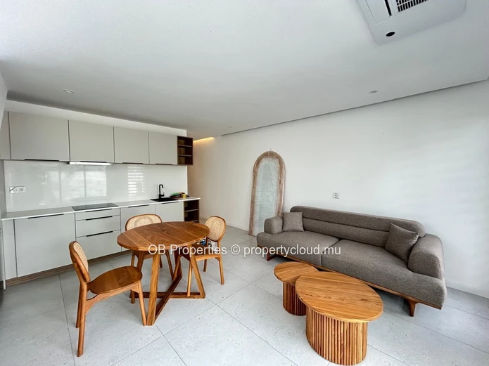 Luxury 1 Bedroom apartment with Private Rooftop Terrace