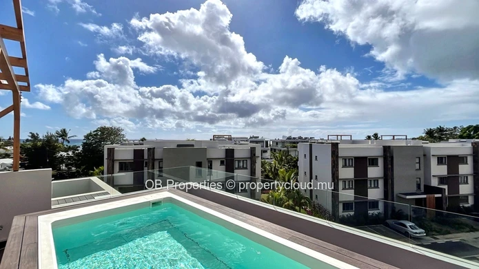 Luxurious 4 bedroom Penthouse 