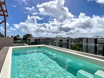 4 Bedroom Penthouse